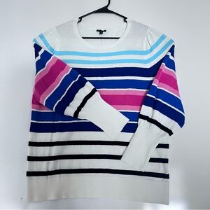 Talbots Blue and Pink Crewneck Sweater